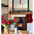 Ecosy+  Purefire Curve 5kw, Multi-Fuel,  Eco Design Approved, Defra Approved Stove